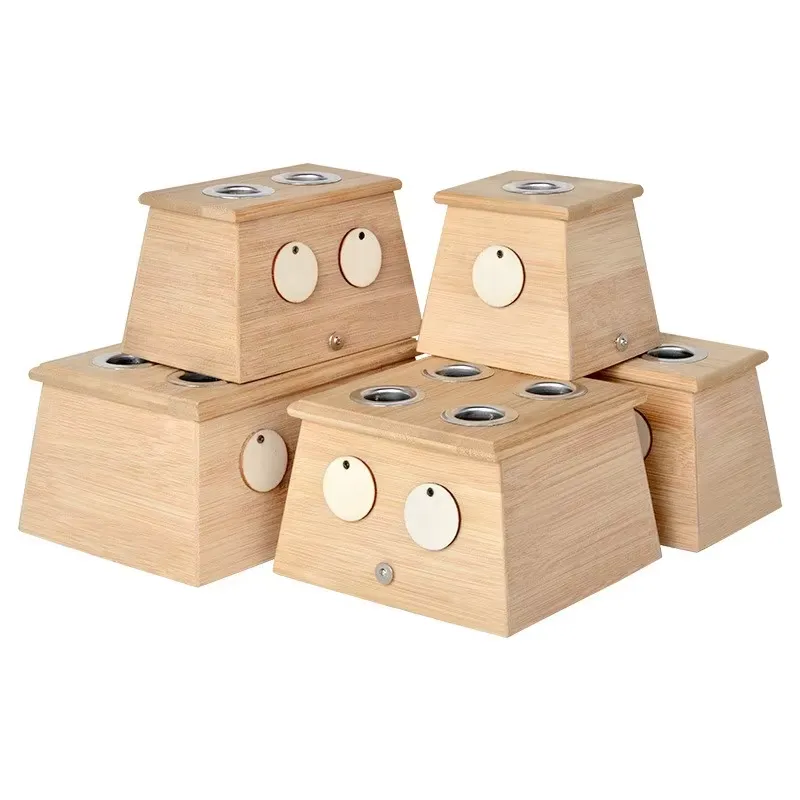 Boîte de Moxibustion Portable  - Health Wellness Home Care avis et prix